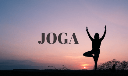 Joga Joga